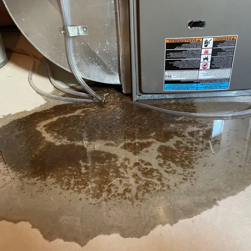 Pipe Burst and Leak Restoration in Montclair, NJ